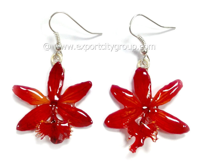 Epidendrum Orchid Jewelry Earring (Red)