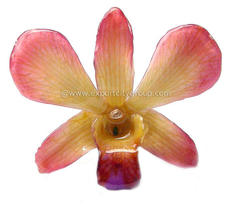 Lucy "Dendrobium" Orchid Pendant (Yellow Pink)