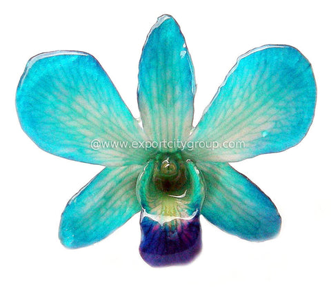Lucy "Dendrobium" Orchid Pendant (Blue)