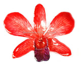 Lucy "Dendrobium" Orchid Petal Earring (Red)