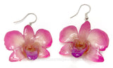 Mini "Diamond" Dendrobium Orchid Earring (Pink)