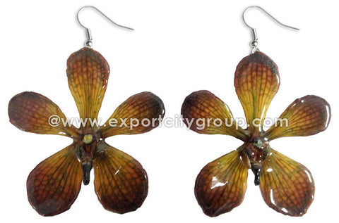 Mokara Orchid Jewelry Earring (Brown)