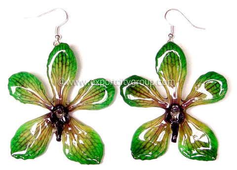 Mokara Orchid Jewelry Earring (Green)