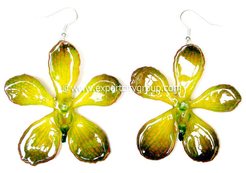 Mokara Orchid Jewelry Earring (Lemon Yellow)