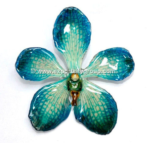 Mokara Orchid Jewelry Pendant (Blue)