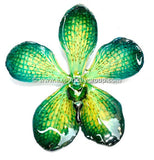 Mokara Orchid Jewelry Pendant (Green Blue)