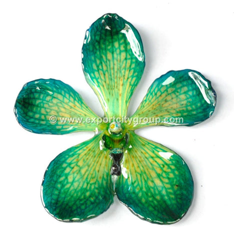 Mokara Orchid Jewelry Pendant (Green Blue)