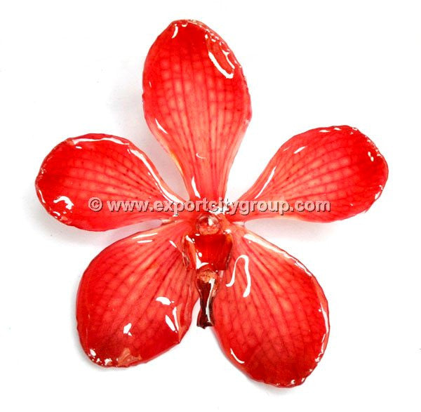 Mokara Orchid Jewelry Pendant (Red)