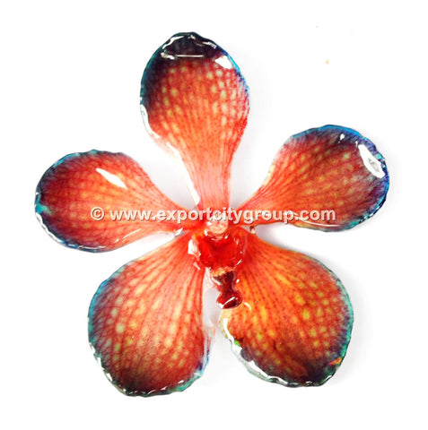 Mokara Orchid Jewelry Pendant (Red Blue)