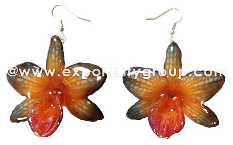 Nobile "Dendrobium" Orchid Jewelry Earring (Orange 2 Tone)