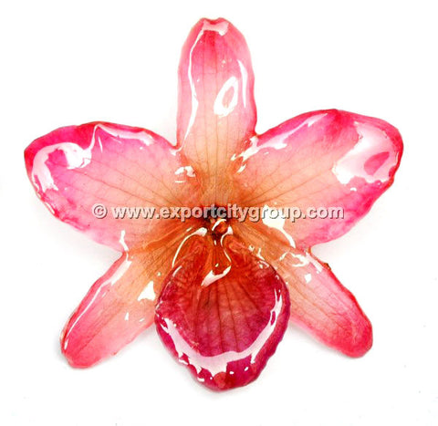 Nobile "Dendrobium" Orchid Jewelry Pendant (Pink)