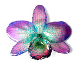 Nobile "Dendrobium" Orchid Jewelry Pendant (Purple / Blue)