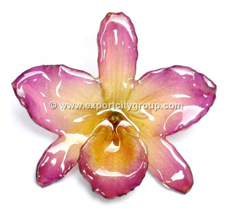 Nobile "Dendrobium" Orchid Jewelry Pendant (Purple / Fuschia)