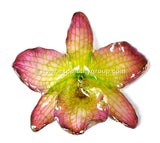 Nobile "Dendrobium" Orchid Jewelry Pendant (Purple / Green)