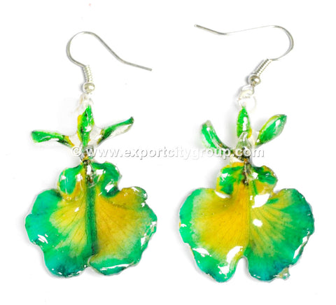Oncidium Orchid Jewelry Earring "Full" (Green 2Tone)