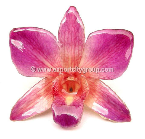 Sonia "Dendrobium" Orchid Pendant (Pink)