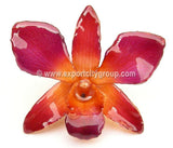 Sonia "Dendrobium" Orchid Petal Earring (Purple Orange)
