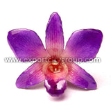 Sonia "Dendrobium" Orchid Pendant (Purple Red)