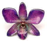 Sonia "Dendrobium" Orchid Petal Earring (Purple)