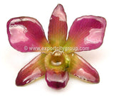 Sonia "Dendrobium" Orchid Petal Earring (Purple Fuchsia Green)