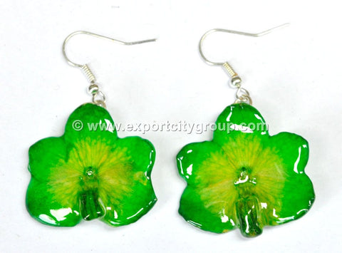 Vanda CANDY Orchid Jewelry Earring (Green)
