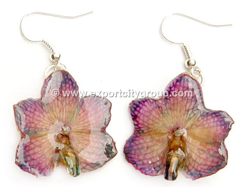 Vanda CANDY Orchid Jewelry Earring (Purple)