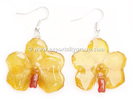 Vanda CANDY Orchid Jewelry Earring (Yellow)