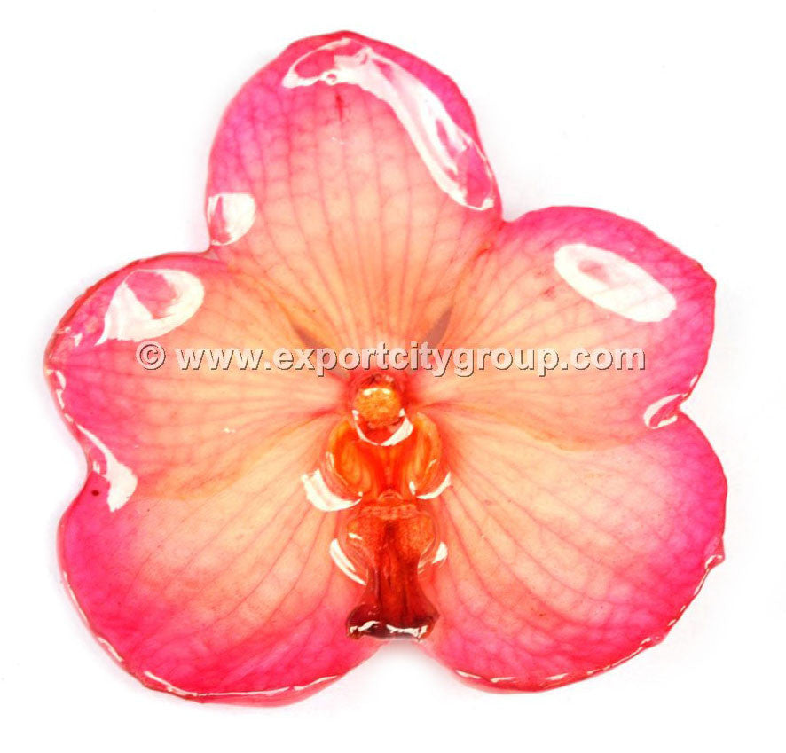 Vanda Orchid Jewelry Pendant (Pink)