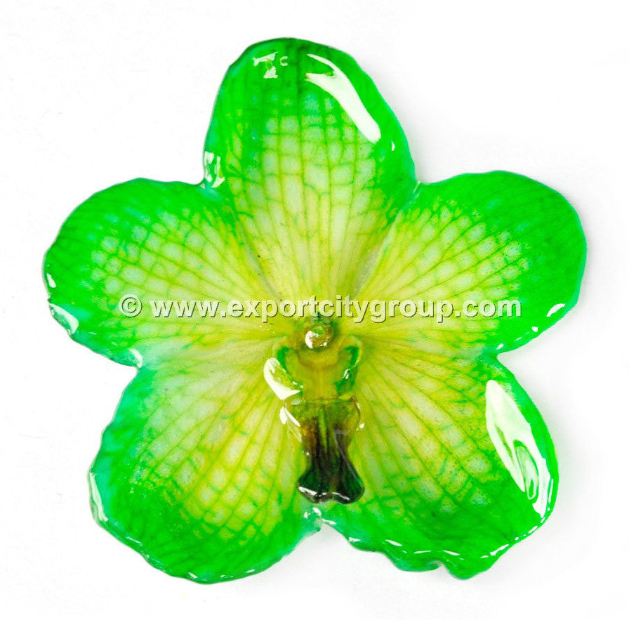 Vanda Orchid Jewelry Pendant (Green)