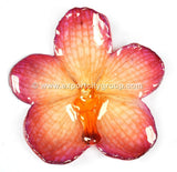 Vanda Orchid Jewelry Pendant (Orange Kiss)