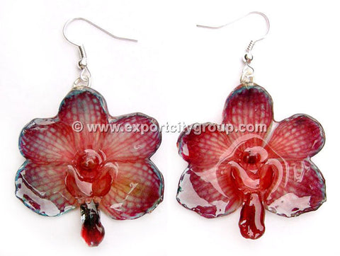 Vanda CANDY Orchid Jewelry Earring (Red 2 Tone)