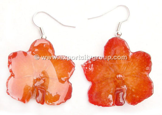 Vanda CANDY Orchid Jewelry Earring (Orange)