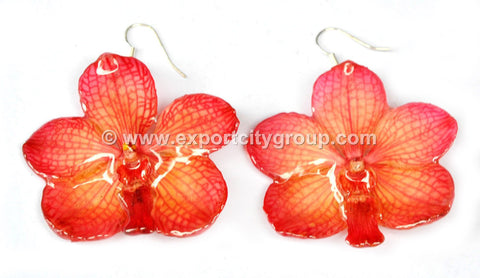 Vanda CANDY Orchid Jewelry Earring (Red)